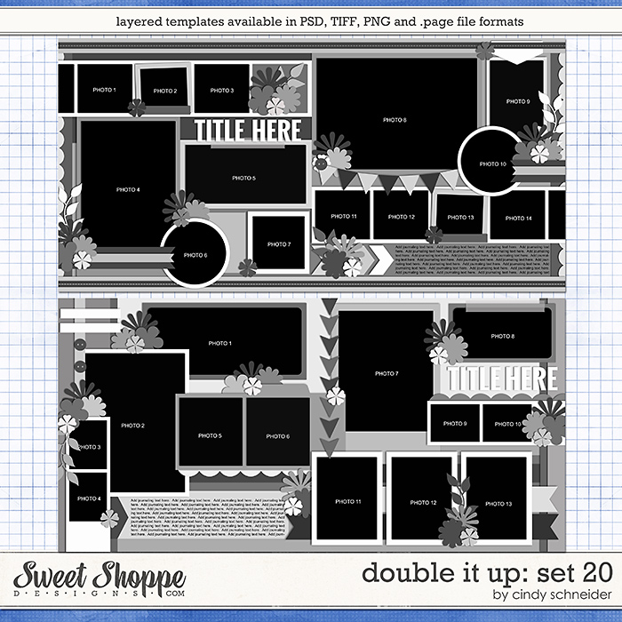 cschneider-DIUset20-preview.jpg