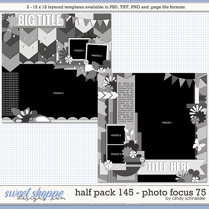 Cindy's Layered Templates - Half Pack 145: Photo Focus 75 by Cindy Schneider