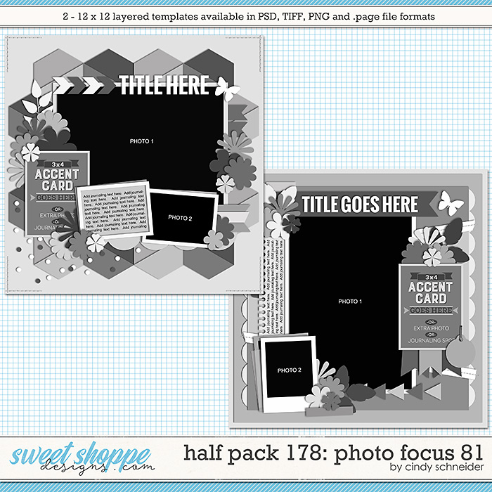 Cindy's Layered Templates - Half Pack 178: Photo Focus 81 by Cindy Schneider