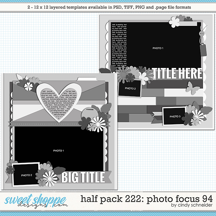 Cindy's Layered Templates - Half Pack 222: Photo Focus 94 by Cindy Schneider