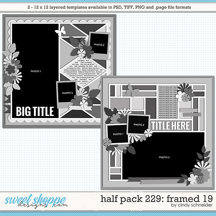 cschneider-HP229-preview.jpg