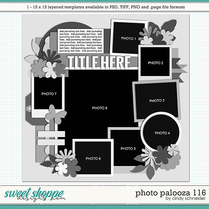 Cindy's Layered Templates - Photo Palooza 116 by Cindy Schneider