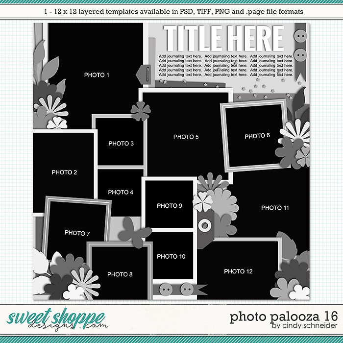 Cindy's Layered Templates - Photo Palooza 16 by Cindy Schneider