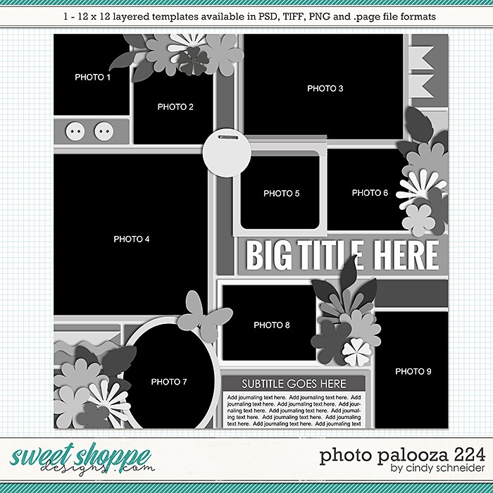 Cindy's Layered Templates - Photo Palooza 224 by Cindy Schneider