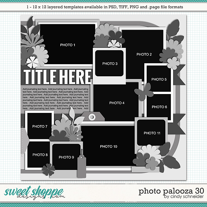 Cindy's Layered Templates - Photo Palooza 30 by Cindy Schneider