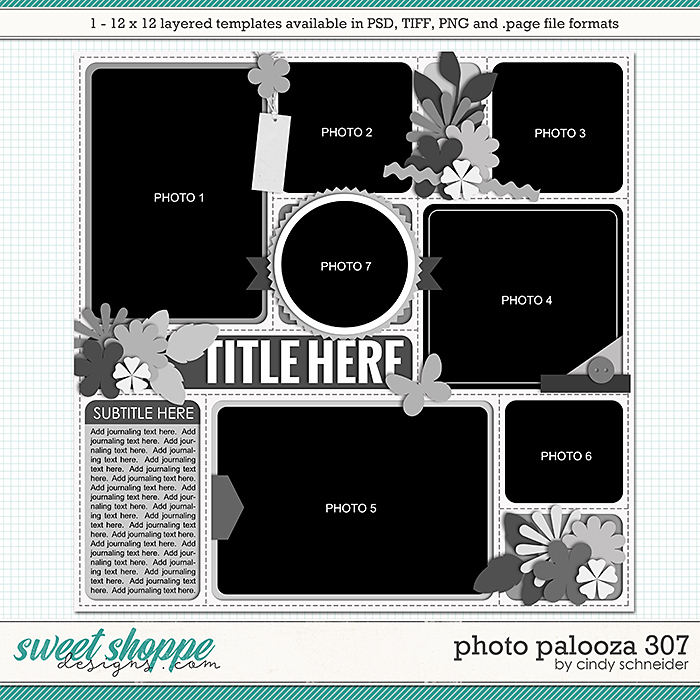 Cindy's Layered Templates - Photo Palooza 307 by Cindy Schneider