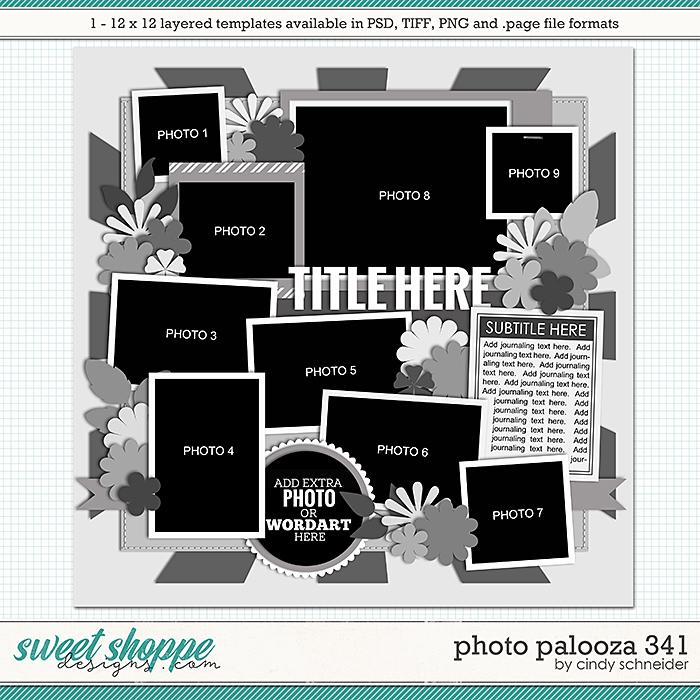 Cindy's Layered Templates - Photo Palooza 341 by Cindy Schneider