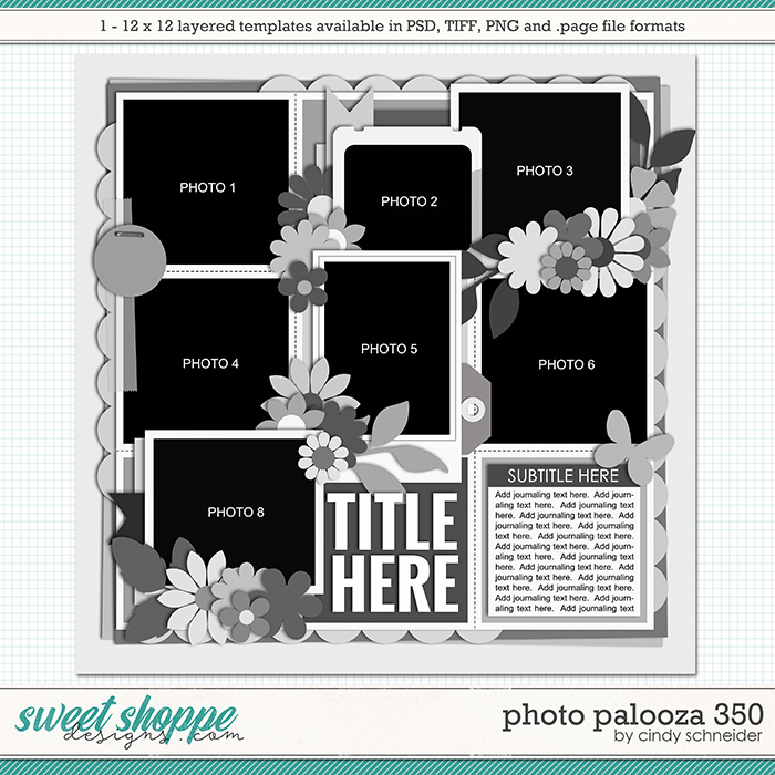 Cindy's Layered Templates - Photo Palooza 350 by Cindy Schneider