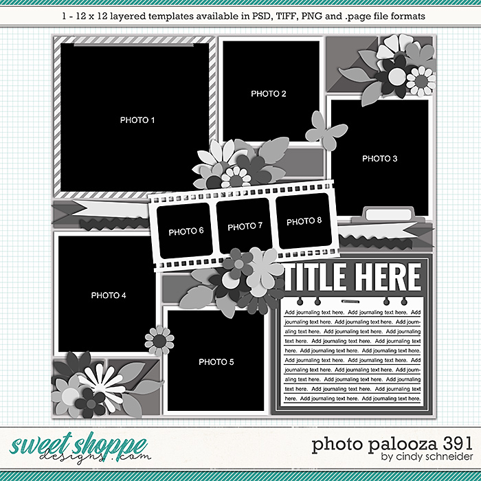 Cindy's Layered Templates - Photo Palooza 391 by Cindy Schneider