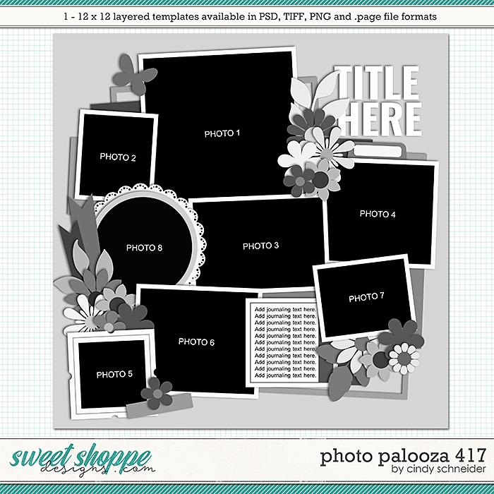 Cindy's Layered Templates - Photo Palooza 417 by Cindy Schneider