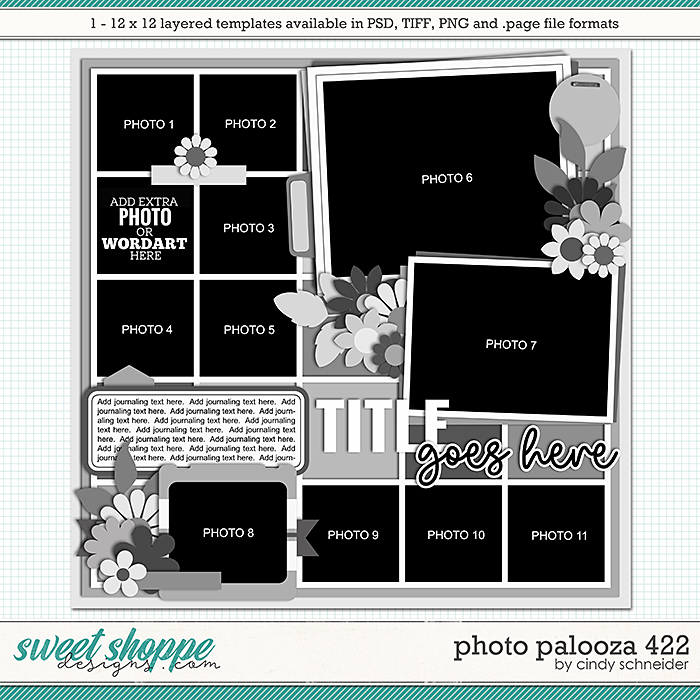 Cindy's Layered Templates - Photo Palooza 422 by Cindy Schneider