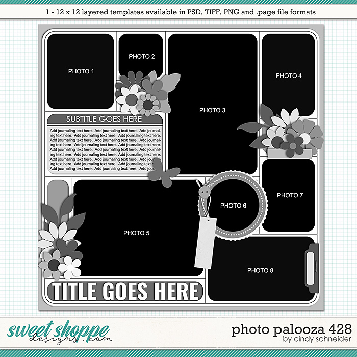 Cindy's Layered Templates - Photo Palooza 428 by Cindy Schneider
