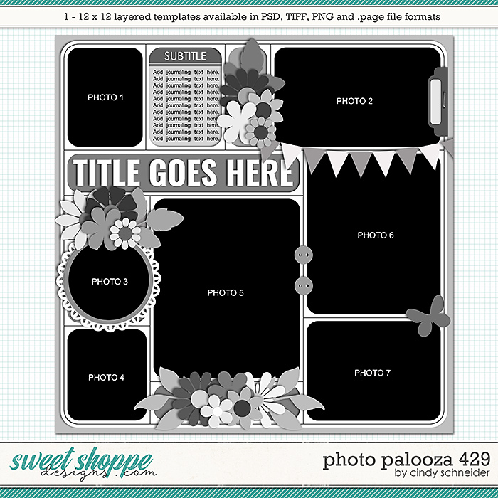 Cindy's Layered Templates - Photo Palooza 429 by Cindy Schneider