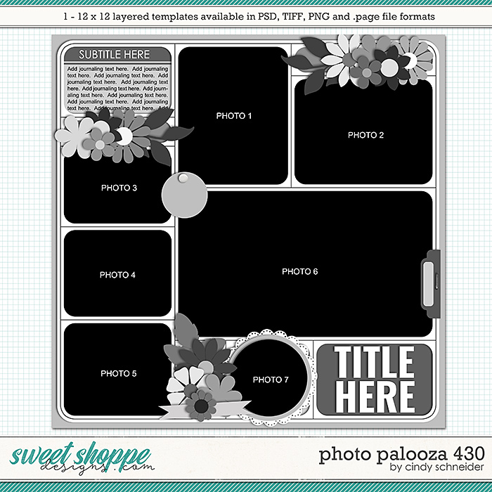 Cindy's Layered Templates - Photo Palooza 430 by Cindy Schneider