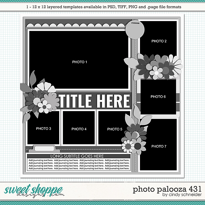 Cindy's Layered Templates - Photo Palooza 431 by Cindy Schneider