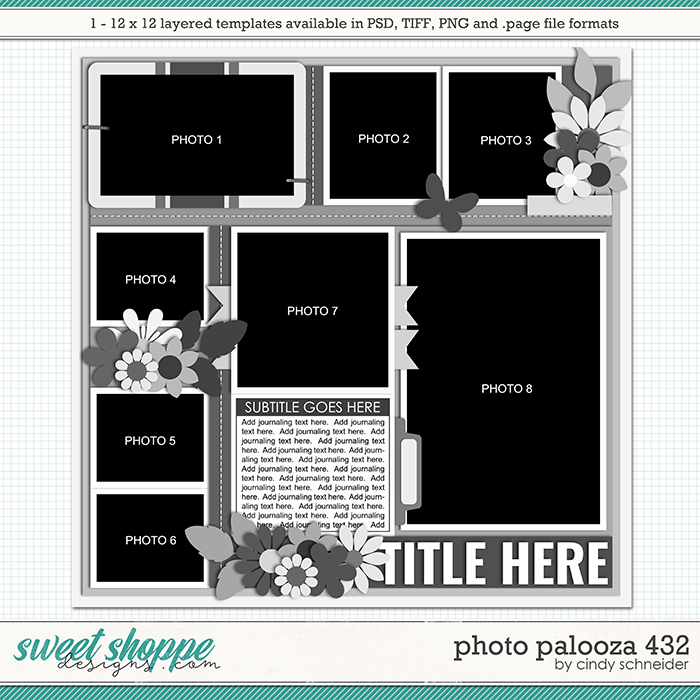 Cindy's Layered Templates - Photo Palooza 432 by Cindy Schneider