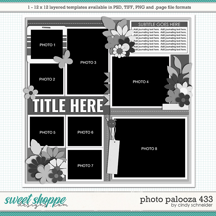 Cindy's Layered Templates - Photo Palooza 433 by Cindy Schneider