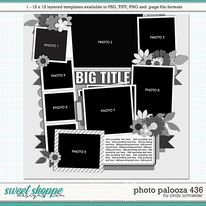 Cindy's Layered Templates - Photo Palooza 436 by Cindy Schneider