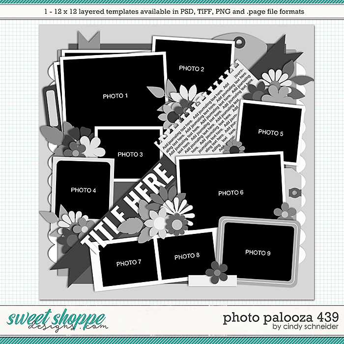 Cindy's Layered Templates - Photo Palooza 439 by Cindy Schneider