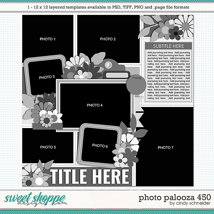 Cindy's Layered Templates - Photo Palooza 450 by Cindy Schneider