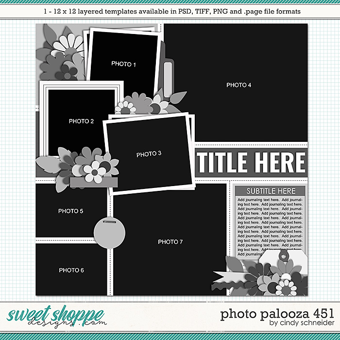 Cindy's Layered Templates - Photo Palooza 451 by Cindy Schneider