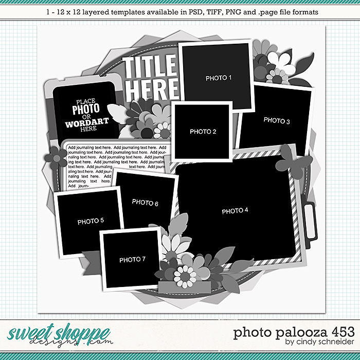 Cindy's Layered Templates - Photo Palooza 453 by Cindy Schneider