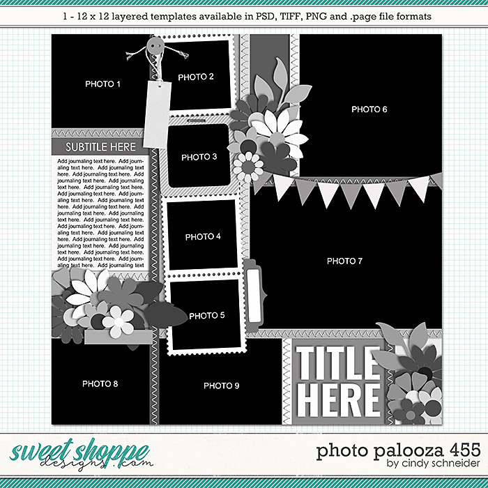 Cindy's Layered Templates - Photo Palooza 455 by Cindy Schneider
