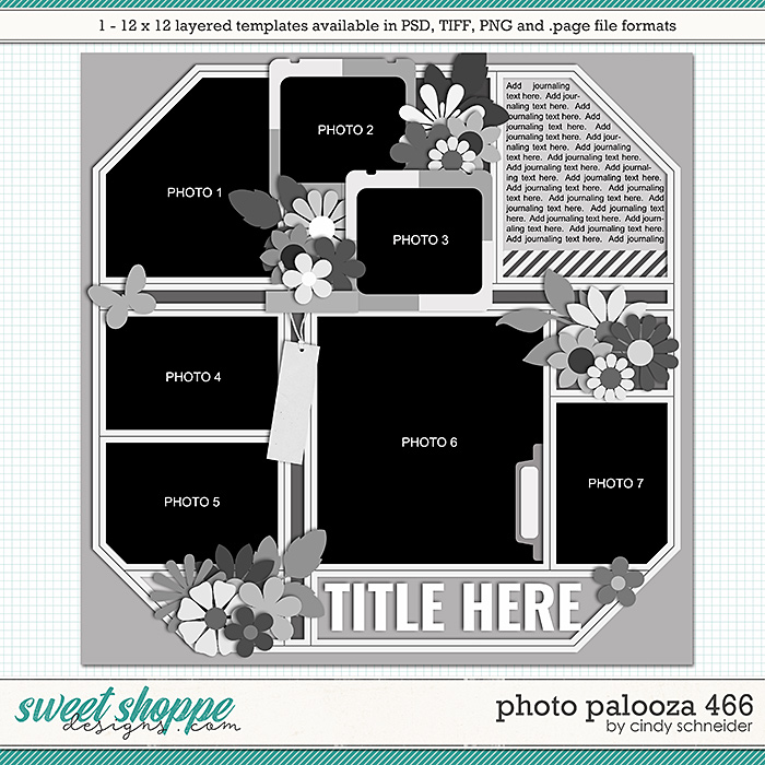 Cindy's Layered Templates - Photo Palooza 466 by Cindy Schneider