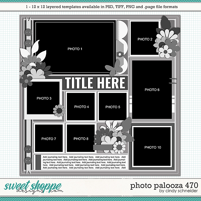 Cindy's Layered Templates - Photo Palooza 470 by Cindy Schneider