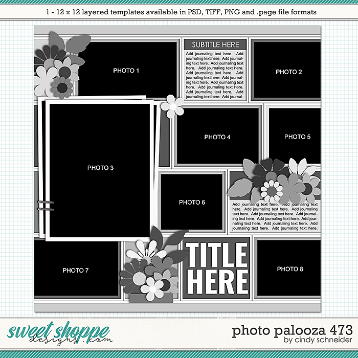 Cindy's Layered Templates - Photo Palooza 473 by Cindy Schneider