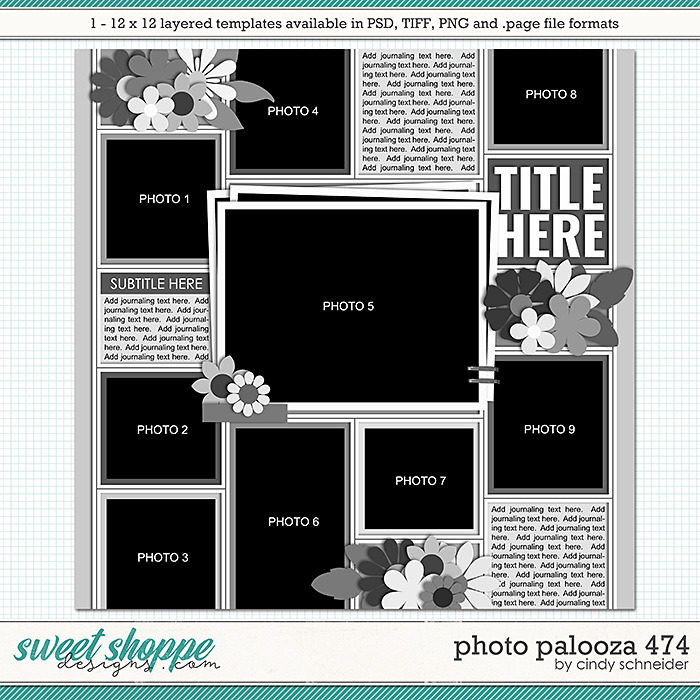 Cindy's Layered Templates - Photo Palooza 474 by Cindy Schneider