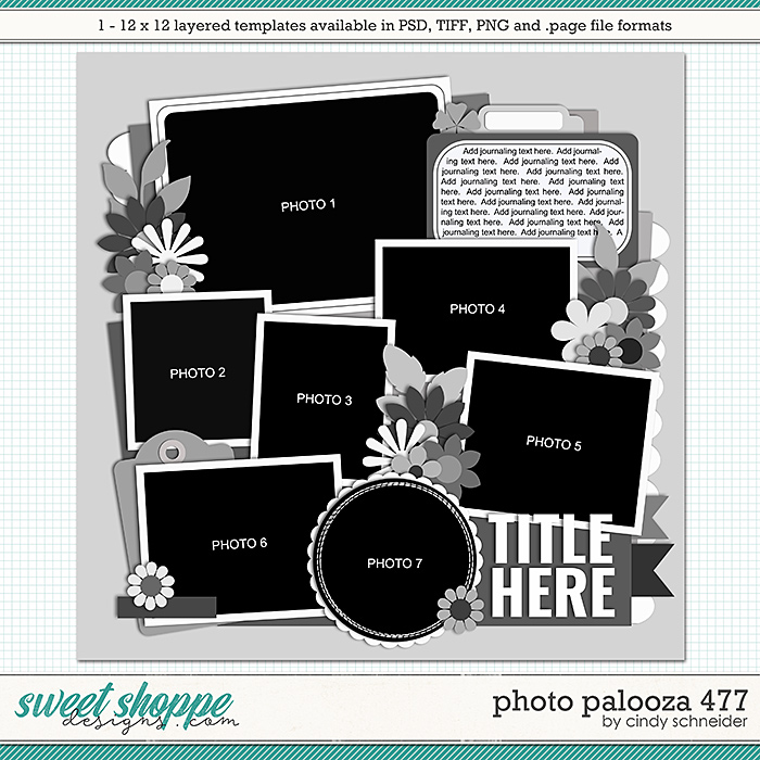 Cindy's Layered Templates - Photo Palooza 477 by Cindy Schneider