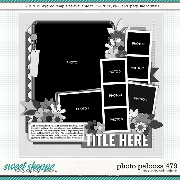 Cindy's Layered Templates - Photo Palooza 479 by Cindy Schneider
