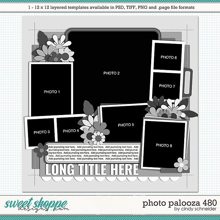 Cindy's Layered Templates - Photo Palooza 480 by Cindy Schneider