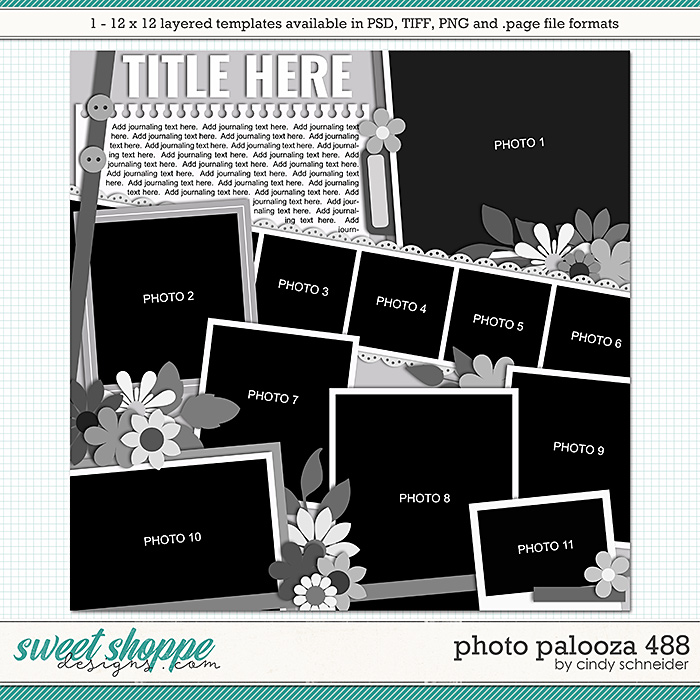 Cindy's Layered Templates - Photo Palooza 488 by Cindy Schneider
