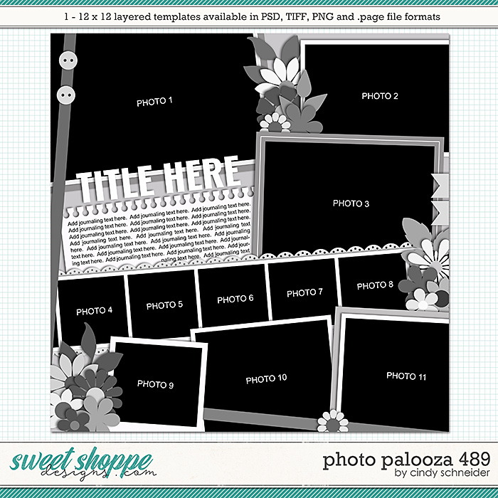 Cindy's Layered Templates - Photo Palooza 489 by Cindy Schneider