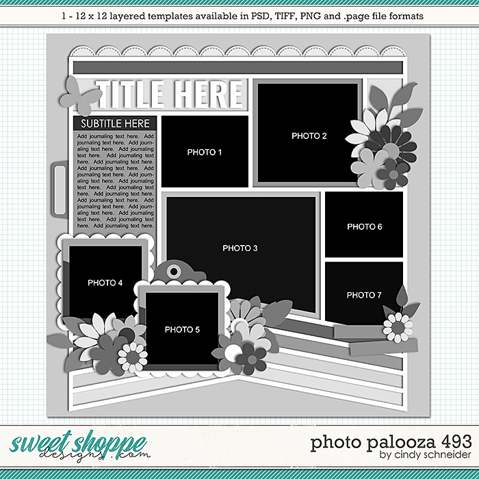 Cindy's Layered Templates - Photo Palooza 493 by Cindy Schneider
