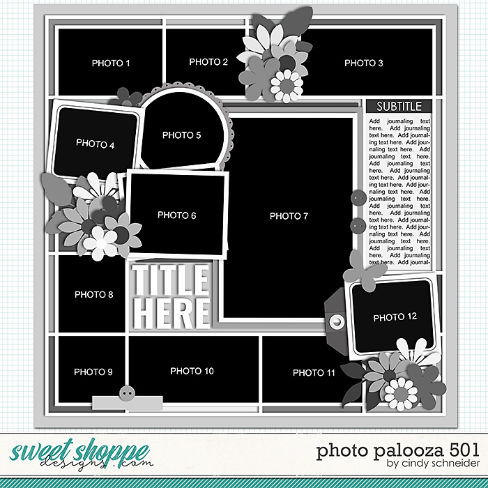 Cindy's Layered Templates - Photo Palooza 501 by Cindy Schneider