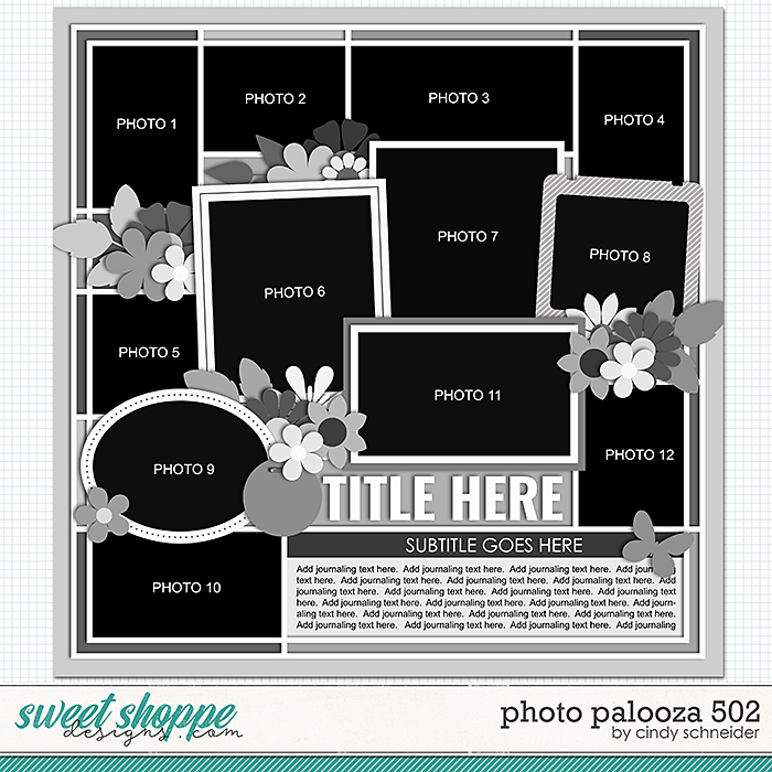 Cindy's Layered Templates - Photo Palooza 502 by Cindy Schneider