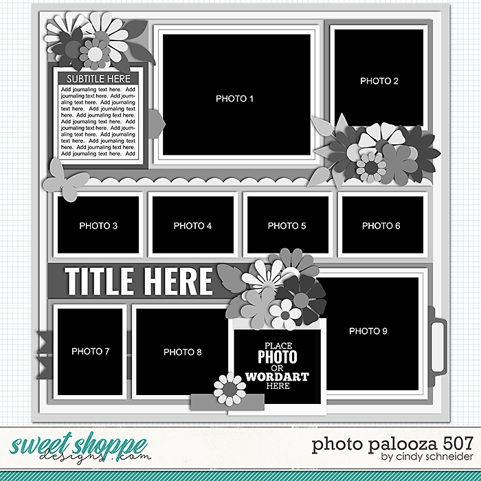 Cindy's Layered Templates - Photo Palooza 507 by Cindy Schneider