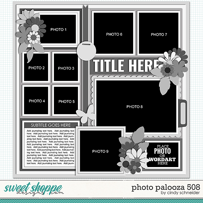 Cindy's Layered Templates - Photo Palooza 508 by Cindy Schneider