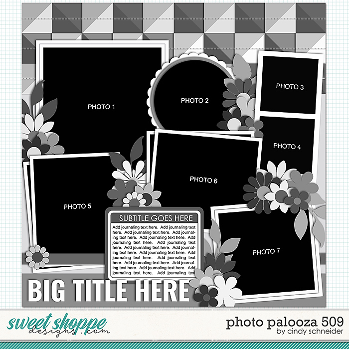 Cindy's Layered Templates - Photo Palooza 509 by Cindy Schneider