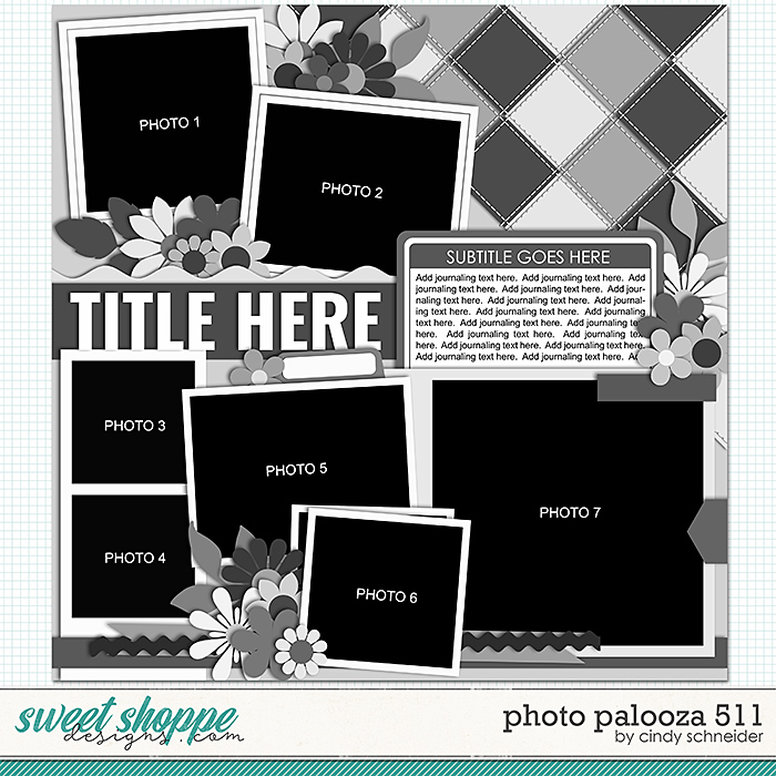 Cindy's Layered Templates - Photo Palooza 511 by Cindy Schneider