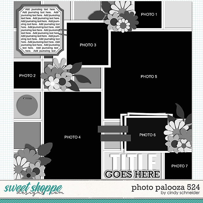 Cindy's Layered Templates - Photo Palooza 524 by Cindy Schneider