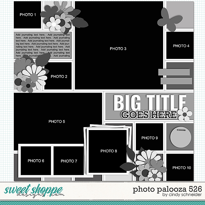 Cindy's Layered Templates - Photo Palooza 526 by Cindy Schneider