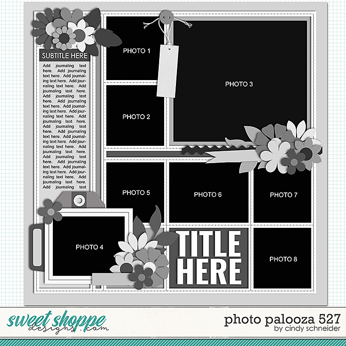 Cindy's Layered Templates - Photo Palooza 527 by Cindy Schneider
