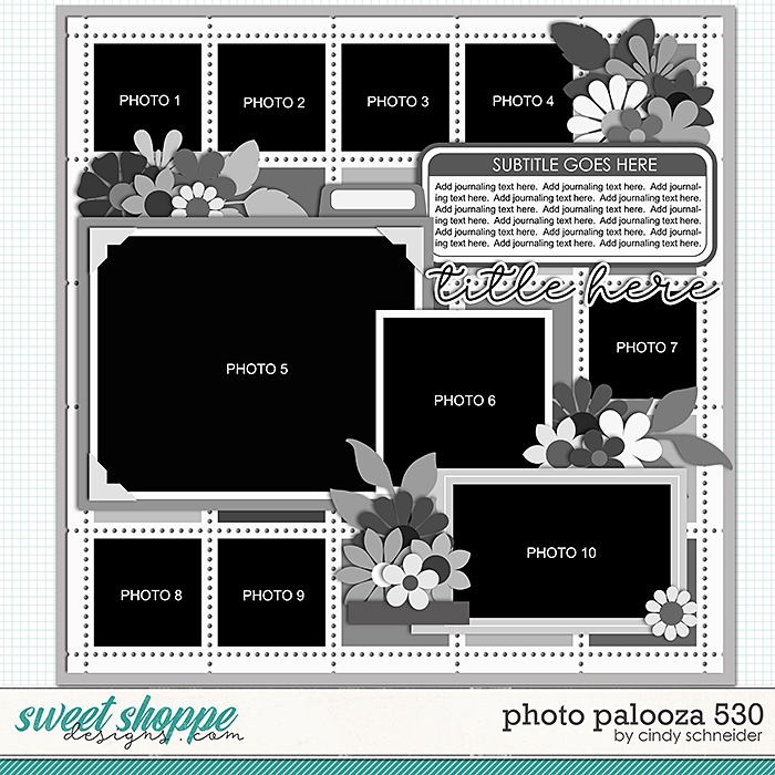 Cindy's Layered Templates - Photo Palooza 530 by Cindy Schneider