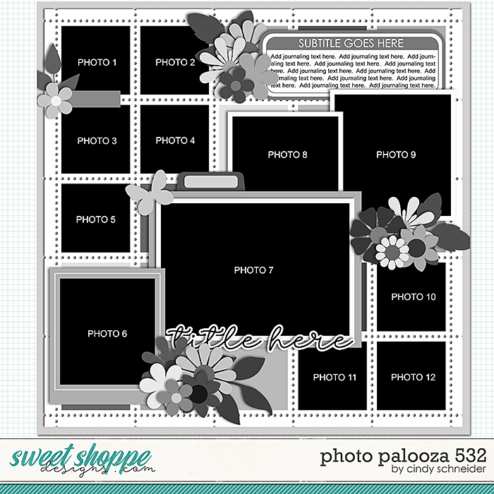 Cindy's Layered Templates - Photo Palooza 532 by Cindy Schneider