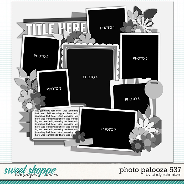 Cindy's Layered Templates - Photo Palooza 537 by Cindy Schneider