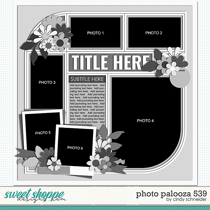 Cindy's Layered Templates - Photo Palooza 539 by Cindy Schneider